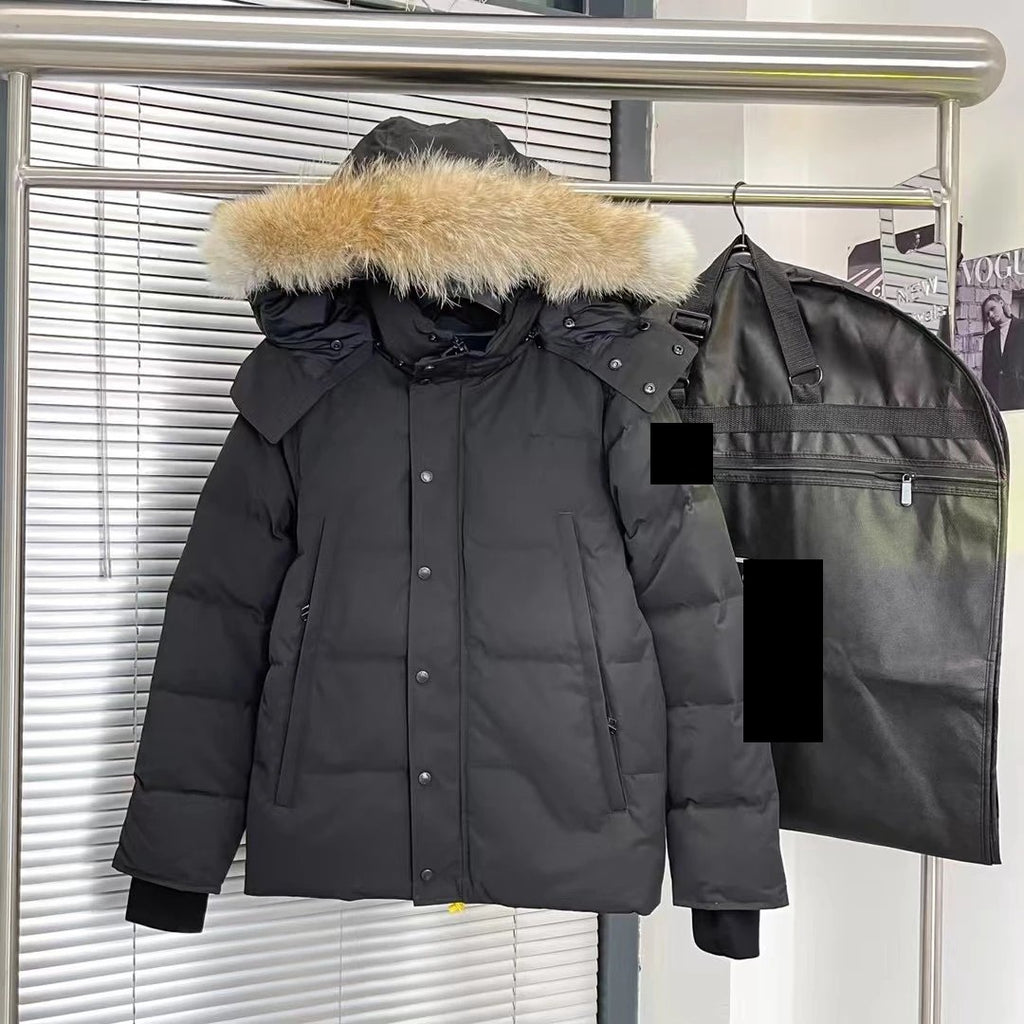 Sector Arctic Puffer