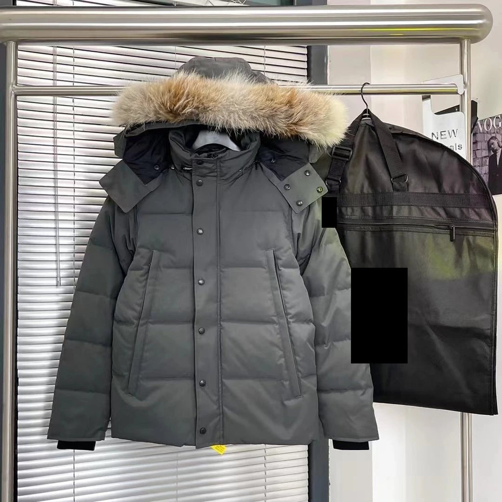 Sector Arctic Puffer