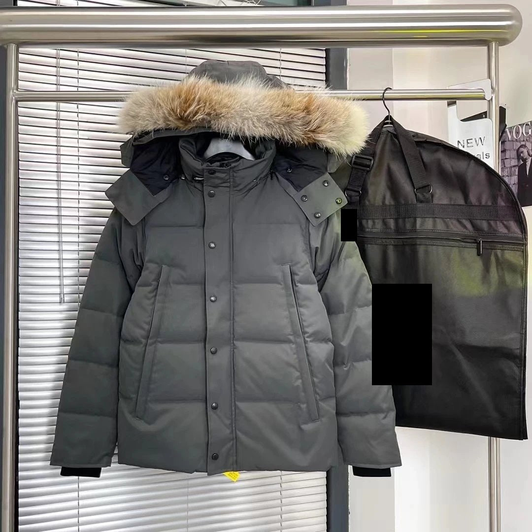 Sector Arctic Puffer