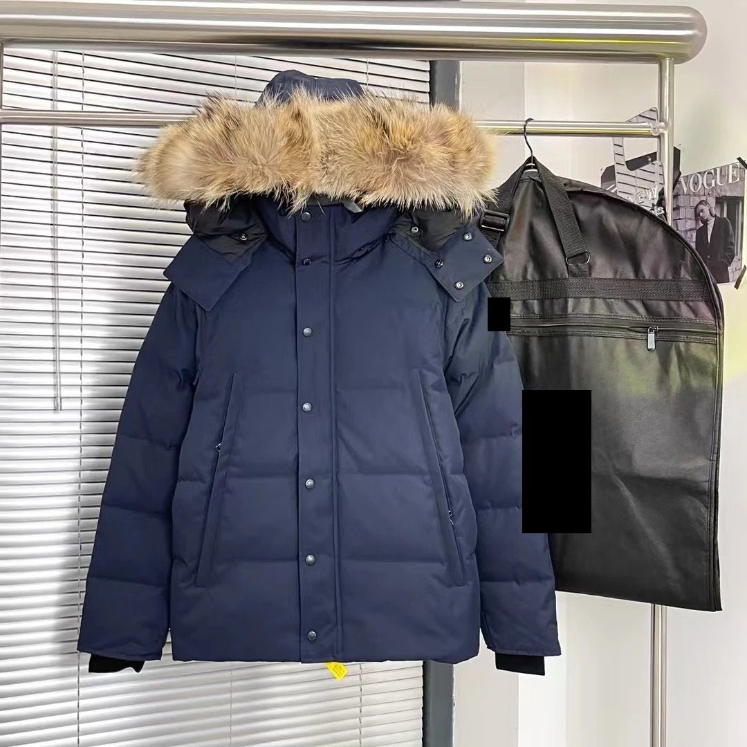 Sector Arctic Puffer