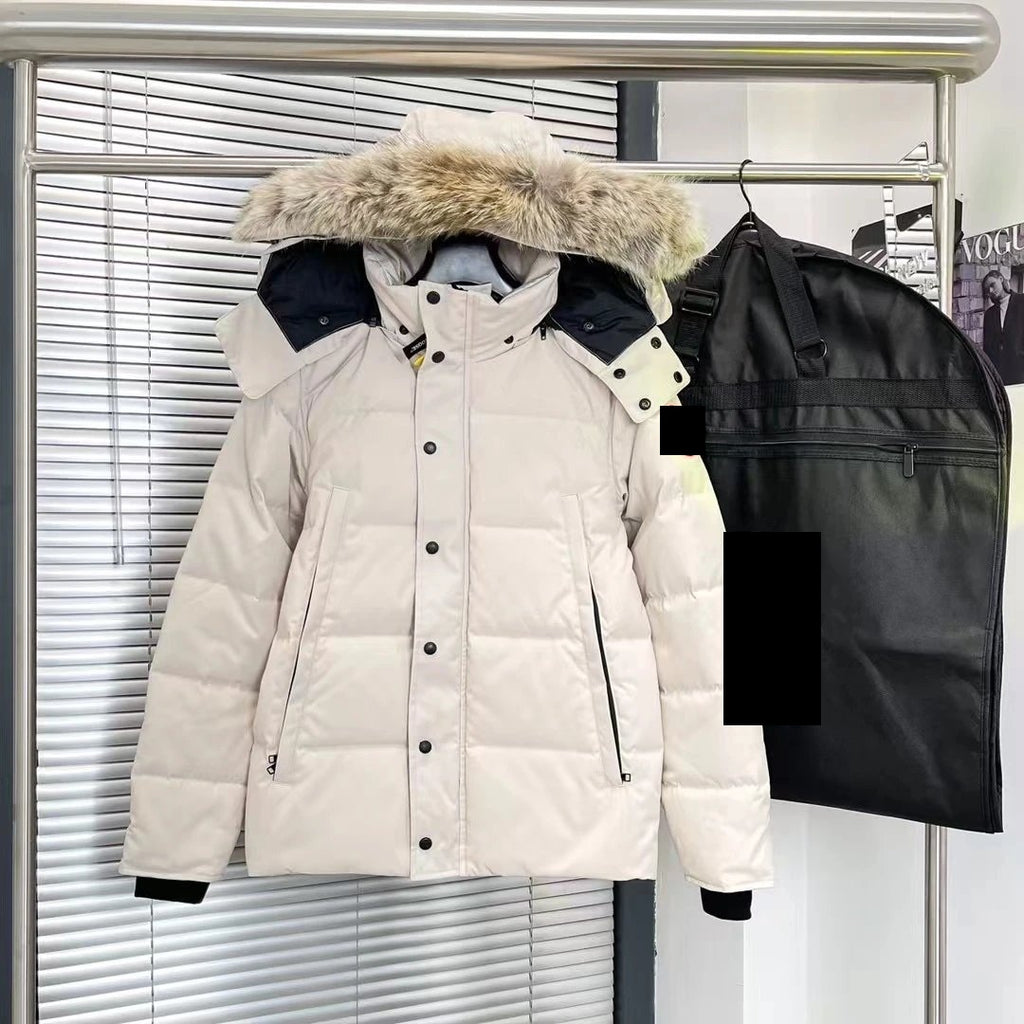 Sector Arctic Puffer